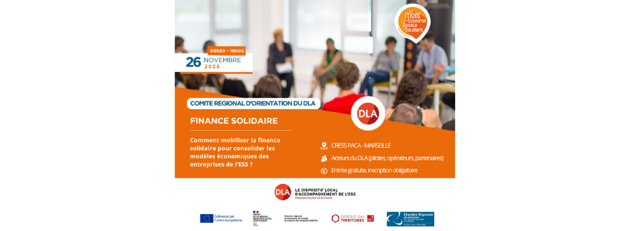 Comité régional d’orientation du DLA Provence-Alpes-Côte d’Azur 2025